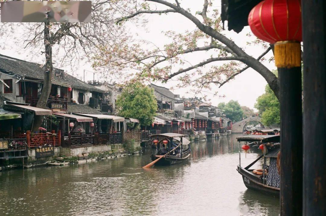 公主烹饪蛋糕